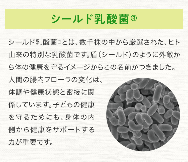 シールド乳酸菌® シールド乳酸菌®とは、数千株の中から厳選された、ヒト由来の特別な乳酸菌です。盾（シールド）のように外敵から体の健康を守るイメージからこの名前がつきました。人間の腸内フローラの変化は、体調や健康状態と密接に関係しています。子どもの健康を守るためにも、身体の内側から健康をサポートする力が重要です。