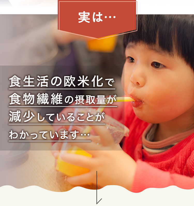 実は… 食生活の欧米化で食物繊維の摂取量が減少していることがわかっています…