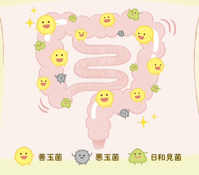 腸内のイラスト