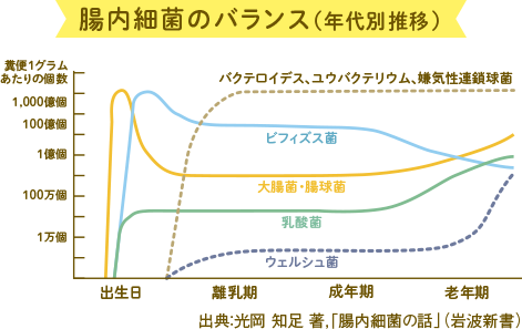 腸内環境のバランスのグラフ