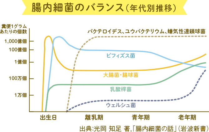 腸内環境のバランスのグラフ