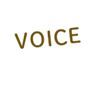 VOICE